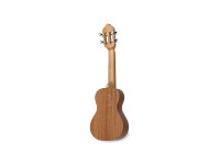 APC Cavaquinho Birabaile APC Cavaquinho Birabaile